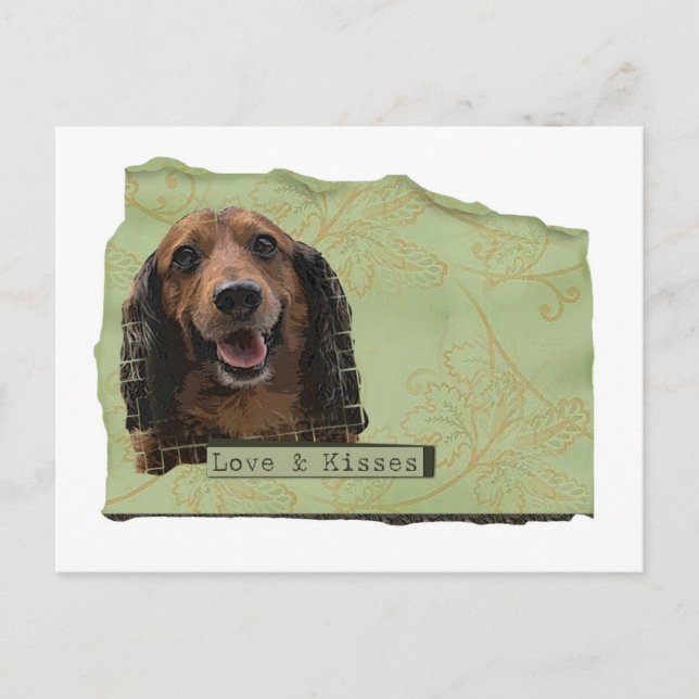 Carte Postale Teckle / Dachshund en vert (Devant)
