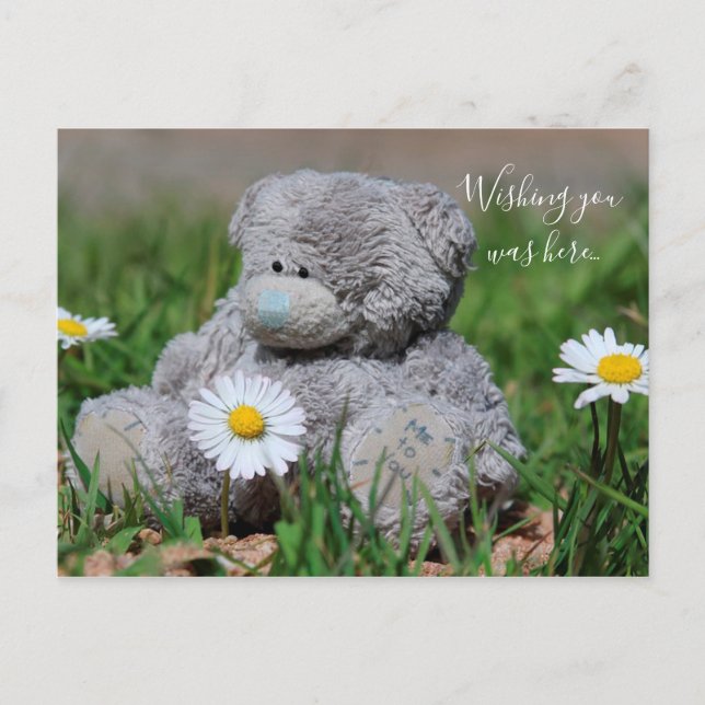 Carte Postale Teddy Bear (Devant)