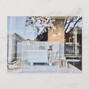 Carte postale Teddy dans Bath