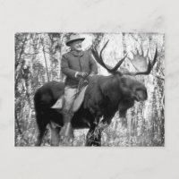 Teddy Roosevelt montant un orignal de Taureau