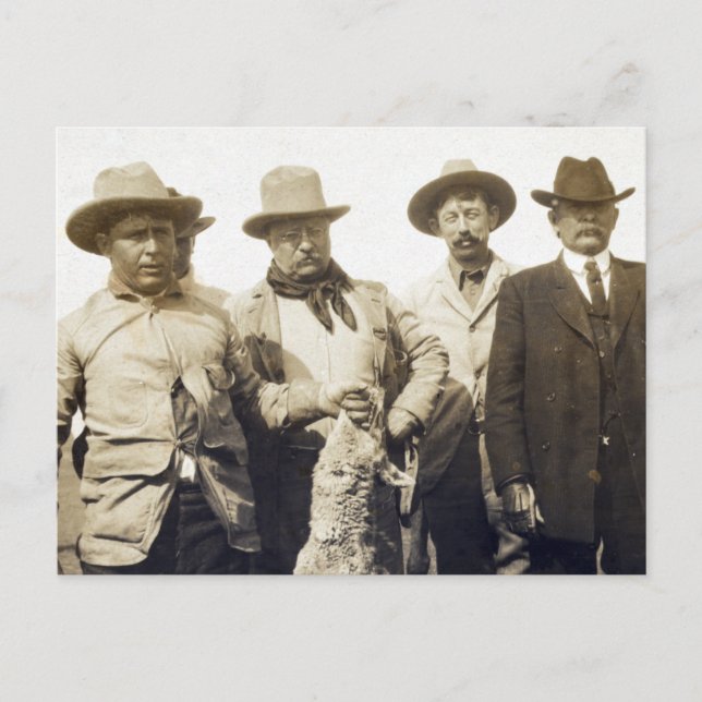Carte Postale Teddy Roosevelt Wolf Hunting, 1905 (Devant)