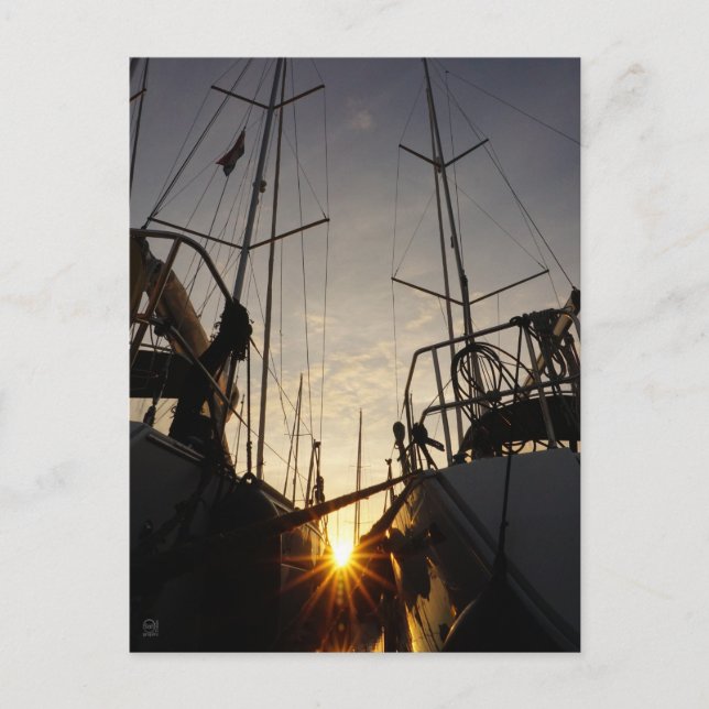 Carte Postale Tegenlicht bij 2 zeilboten in de haven. (Devant)