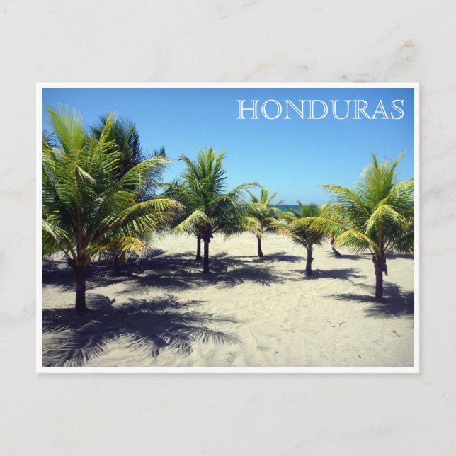 Carte Postale tela palms honduras (Devant)