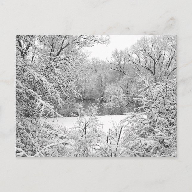 Carte Postale Tempête de neige (Devant)