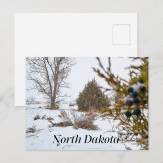 Carte Postale Tempête de neige d'hiver du Dakota du Nord 