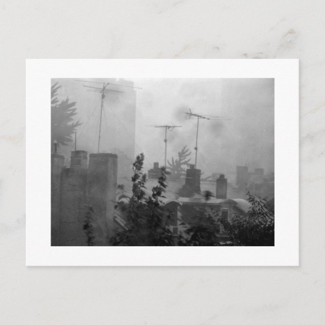 Carte Postale Tempête le 12, Philadelphie. (Devant)