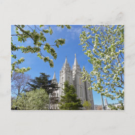 Carte Postale Temple de Salt Lake City au printemps.