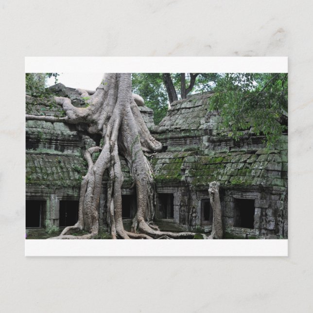 Carte Postale temple de ta prohm au cambodge (Devant)
