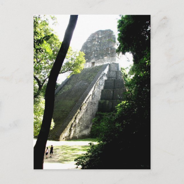 Carte Postale Temple V, Tikal, Guatemala (Devant)