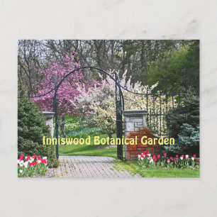 CARTE POSTALE "TEMPS DE PRINTEMPS À INNISWOOD" (WESTERVILLE, OHI