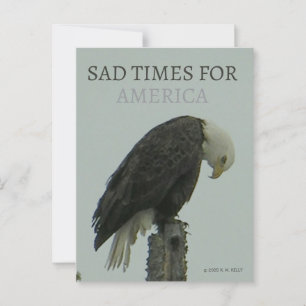 Carte Postale TEMPS DE TRISTE POUR L'AMÉRIQUE - By - K. M. Kelly