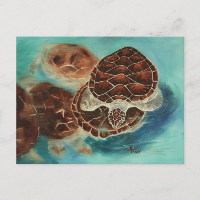 Carte postale Temps Turtle (Devant)
