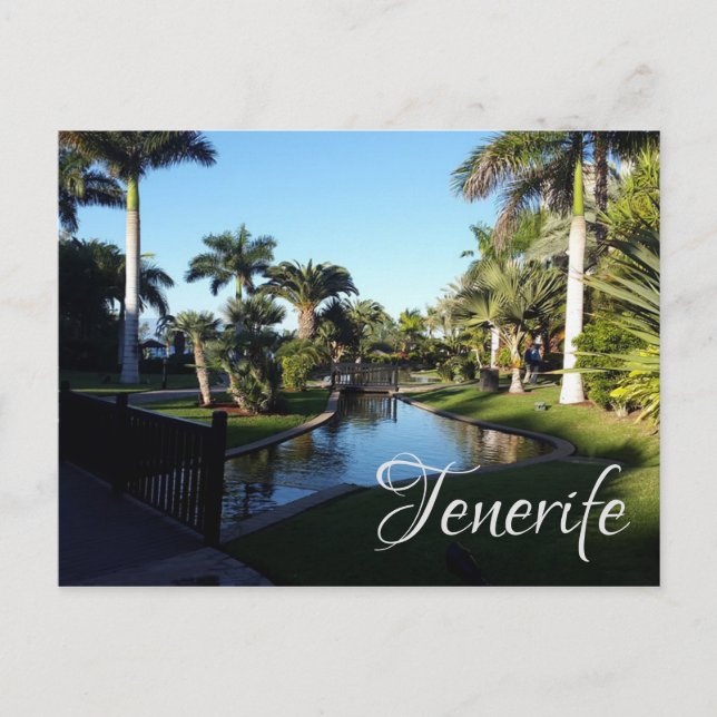 Carte Postale Tenerife (Devant)