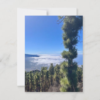 Carte Postale Tenerife bliss..