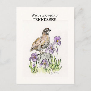 Carte Postale Tennessee