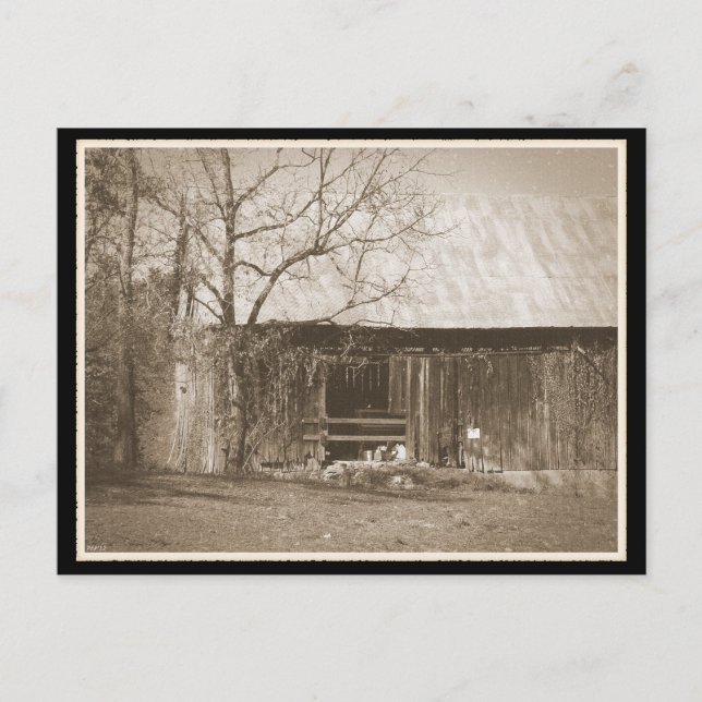 Carte Postale Tennessee Farm Vielle grange (Devant)