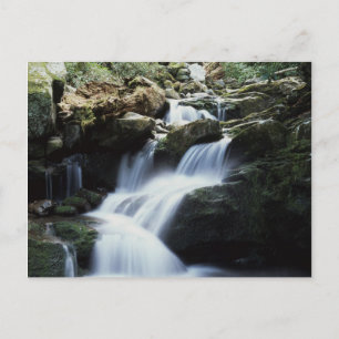 Carte Postale Tennessee, Great Smoky Mountains National Park 3