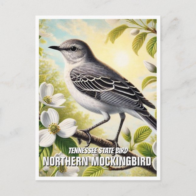 Carte Postale Tennessee State Bird Northern Mockingbird (Devant)