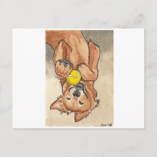 Carte Postale Tennis Ball Fun Golden Retriever Dog Art
