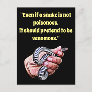 Carte Postale tenue à la main bébé serpent citation animaux rept