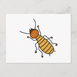Carte Postale termite