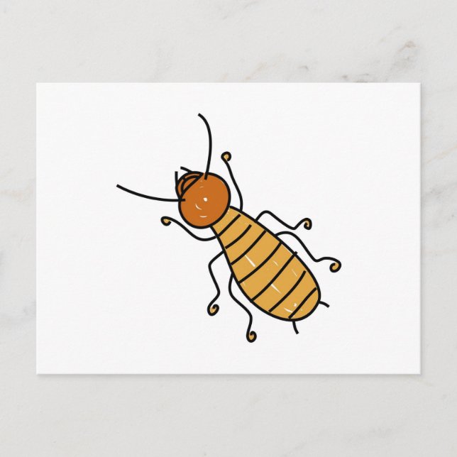 Carte Postale termite (Devant)