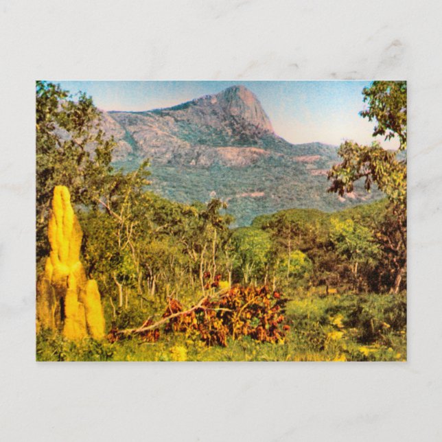 Carte Postale Termite, Sierra da Hanba, Angola (Devant)