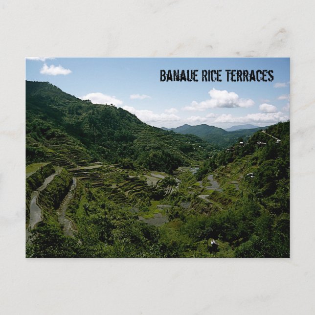 Carte Postale Terrasses Banaue Rice (Devant)