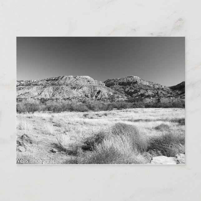 Carte Postale Terre rugueuse (Devant)