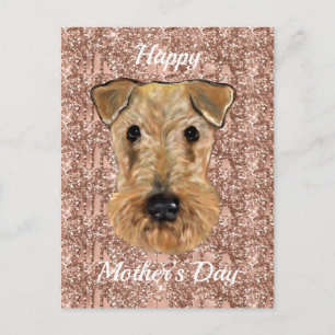 CARTE POSTALE TERRIER AIREDALE    