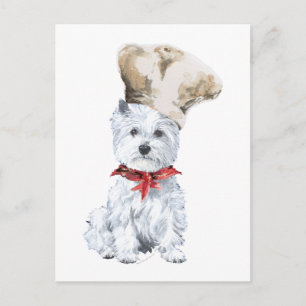 Carte Postale Terrier Blanc de West Highland Chef