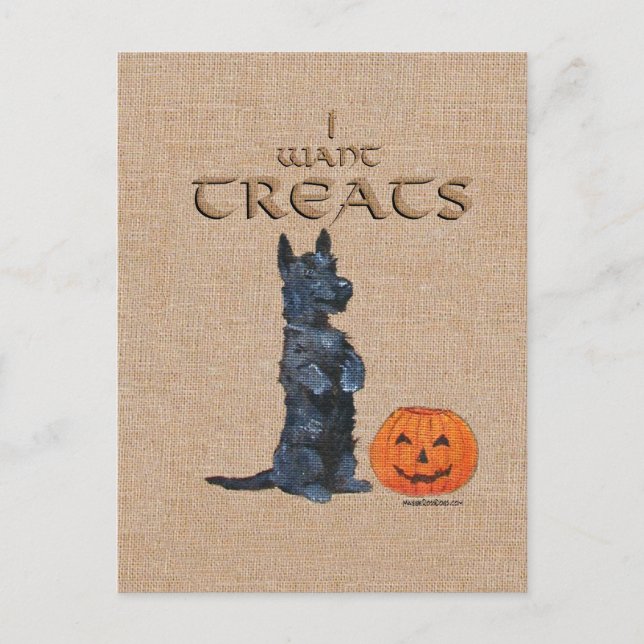 Carte Postale Terrier écossais s'assoit pour les cures ! (Devant)