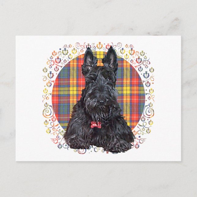 Carte Postale Térrier écossais sur plaid Buchanan (Devant)