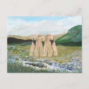 Carte Postale Terriers en Irlande