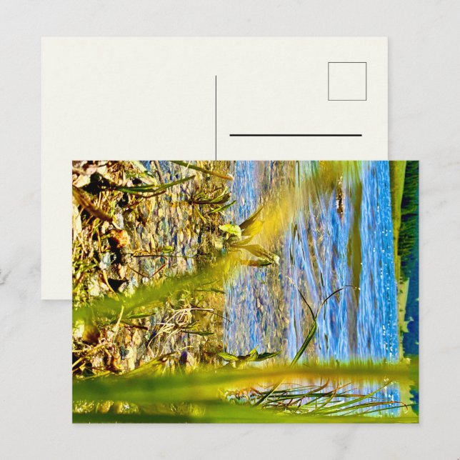 Carte Postale Test (Devant / Derrière)