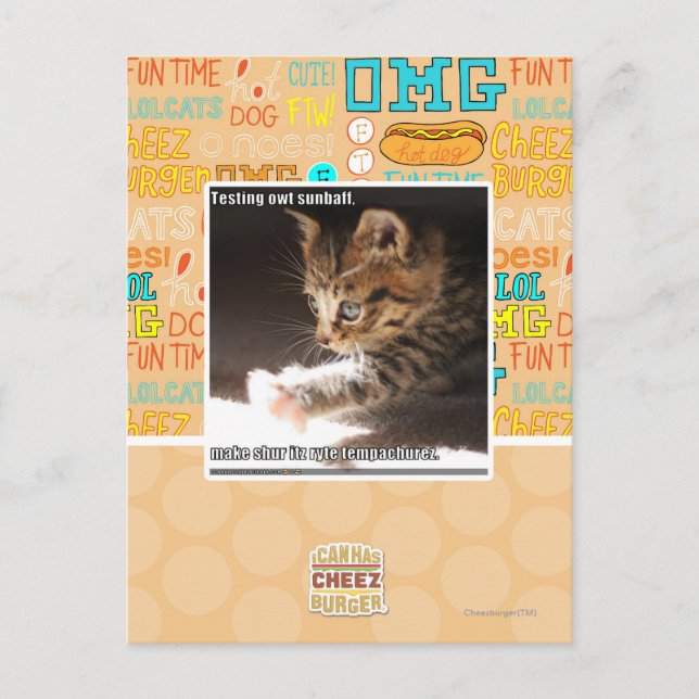 Carte Postale Test de owt sunbaff (Devant)