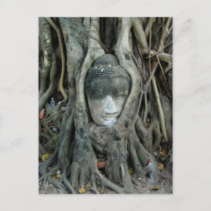 Carte Postale Tête de Bouddha