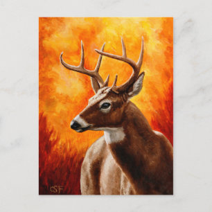 Carte Postale Tête de buck trophée de cerf de Virginie