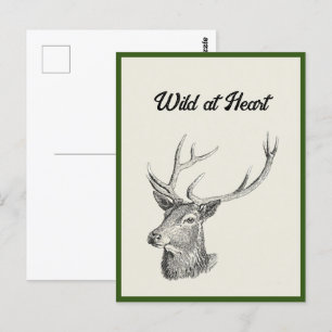 Carte Postale Tête de cerf Buck avec Antlers Chasse Dessin