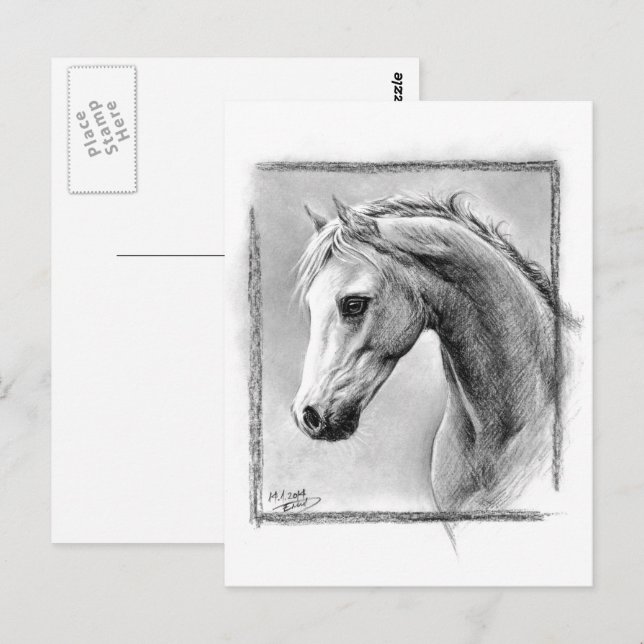 Carte Postale Tête de cheval Dessin de Charbon de l'équine (Devant / Derrière)