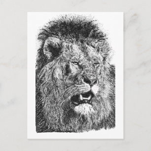 Carte Postale Tête de lion Impression Noir Blanc Art faunique