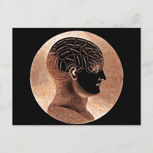 Carte Postale Tête de Phrenologie de l'esprit doré de style anti
