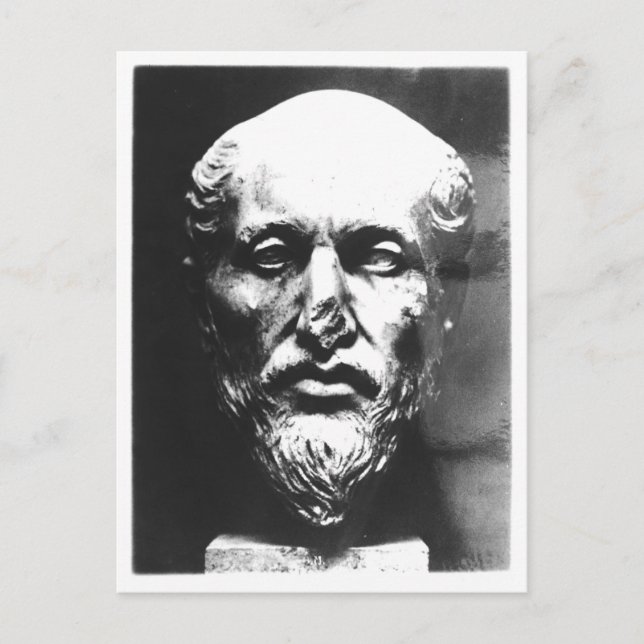 Carte Postale Tête de Plotinus (Devant)