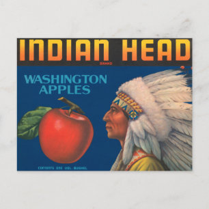 Carte Postale Tête indienne