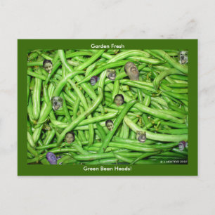 Carte Postale Têtes de haricots verts !