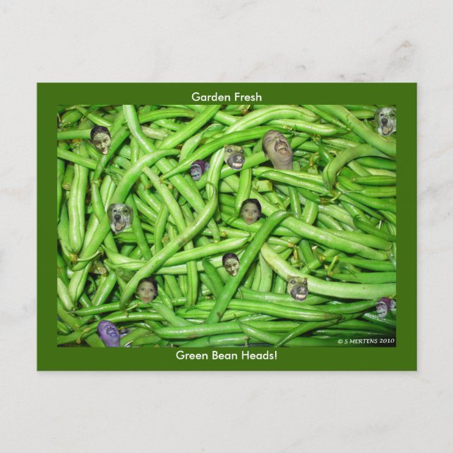 Carte Postale Têtes de haricots verts ! (Devant)