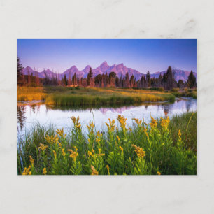 Carte Postale Teton Sunrise