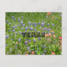 Carte postale TEXAS