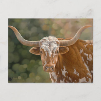 Carte Postale Texas Longhorn