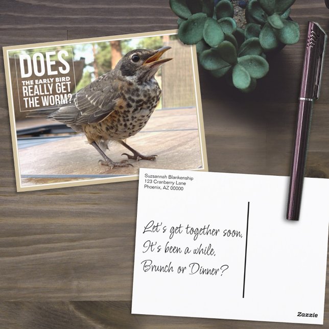 Carte Postale Texte de couverture drôle Photo d'oiseau  (Humorous front and template back postcard)